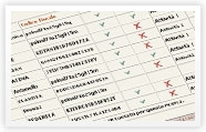 Sviluppo software